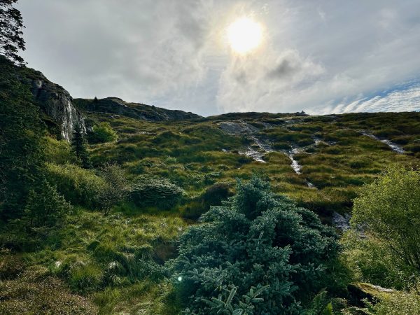 Moorige Berglandschaft über Bergen mit Fels, Bachlauf und Gegenlicht.